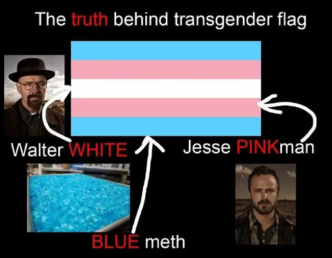The Truth Behind the Transgender Flag