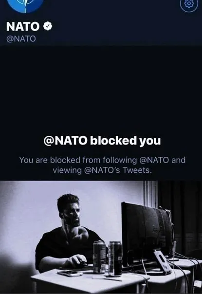NATO Blocked You