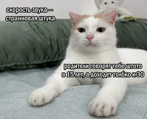 Доход приходит к тридцати