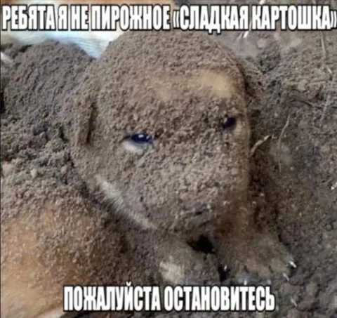 Я не пирожное «Сладкая картошка»