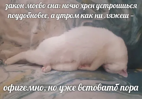 Закон сна и утреннее пробуждение