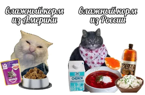 Влажный корм из России