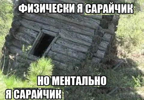 Физически я сарайчик