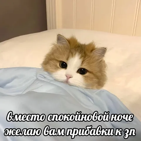 Прибавки к зарплате вместо спокойной ночи