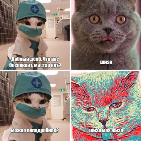 Кот-врач объясняет шизу