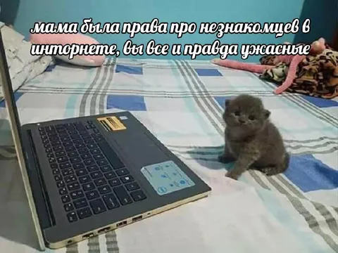 Мама была права про интернет