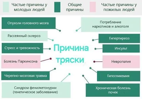 Причины тремора у молодых и пожилых
