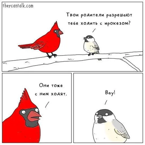 Родители тоже ходят с ирокезом