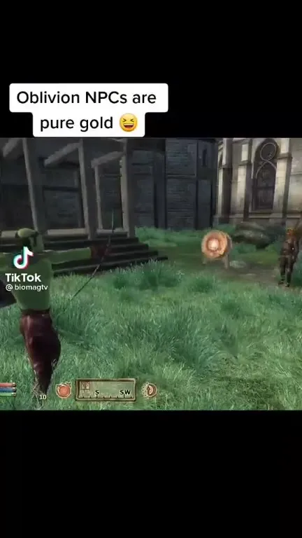 Oblivion NPCs Are Pure Gold