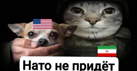 Нато не придёт
