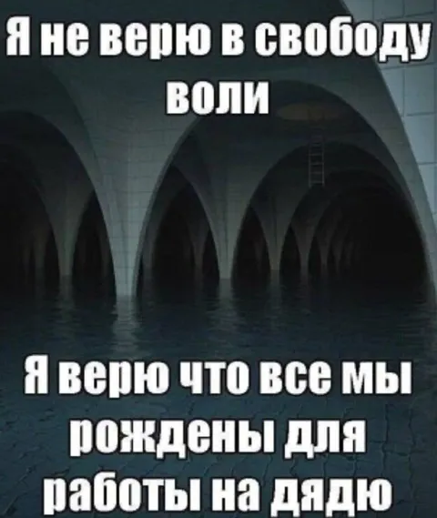 Не верю в свободу воли