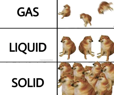 Doge States of Matter