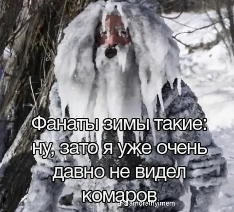 Фанаты зимы не видели комаров