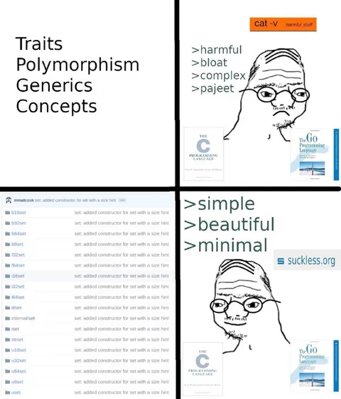 Go Programming Language Meme