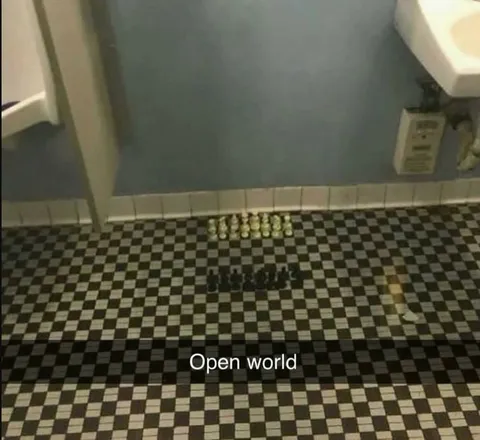 Open World Chess Bathroom