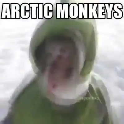 Arctic Monkeys in winter chaos