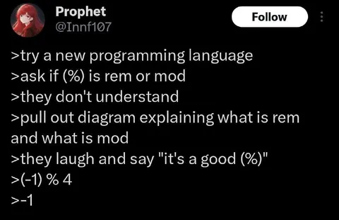 Programming Modulo Greentext Joke