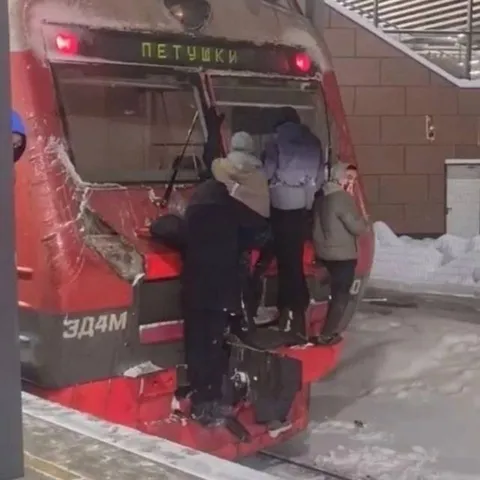 Зайцы на хвосте электрички