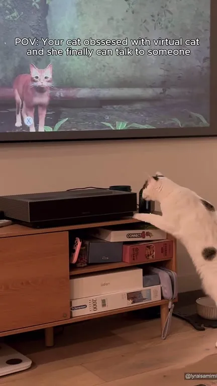 Cat Talks to Virtual Cat