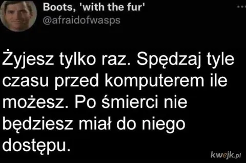 Żyjesz tylko raz przed komputerem