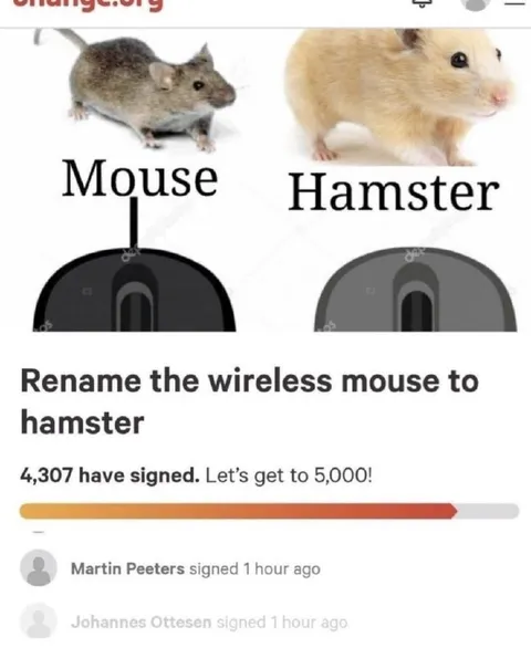 Rename Wireless Mouse to Hamster