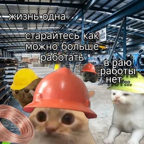 Коты на работе без работы