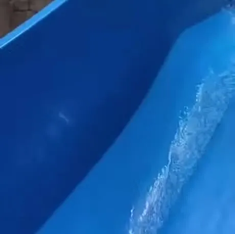 Ящерица катается на водной горке