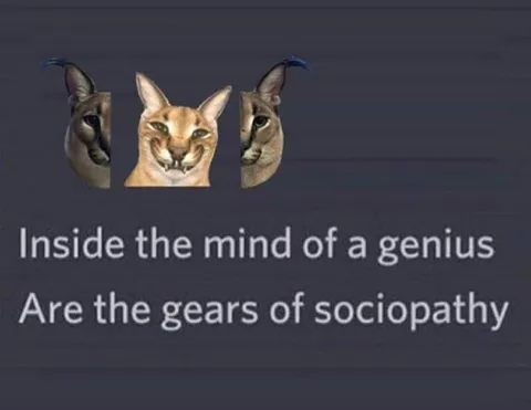 Inside the Mind of a Genius