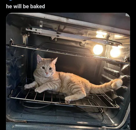 He Will Be Baked
