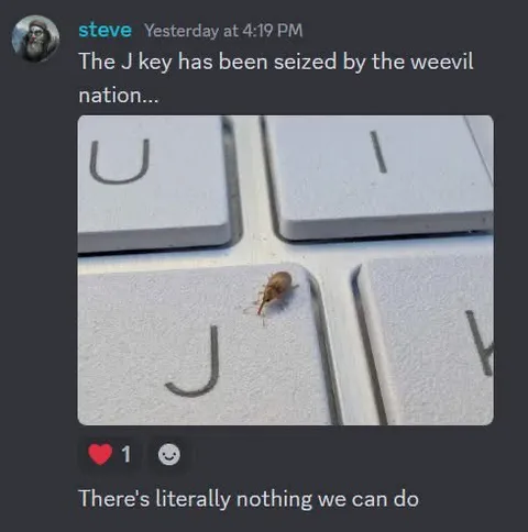 The J Key Has Been Seized