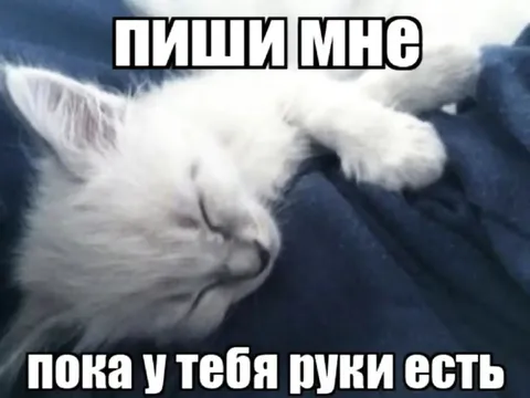 Пиши мне пока можешь
