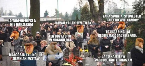 Małpy na cmentarzu rozmawiają