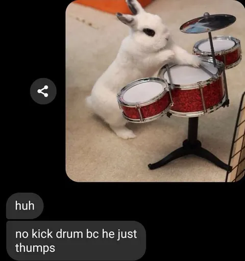 Rabbit Drummer Has No Kick Drum