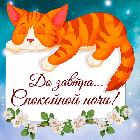 До завтра, спокойной ночи