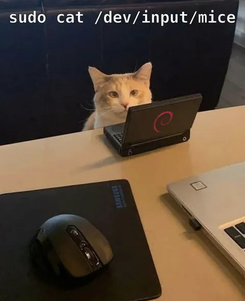 sudo cat /dev/input/mice