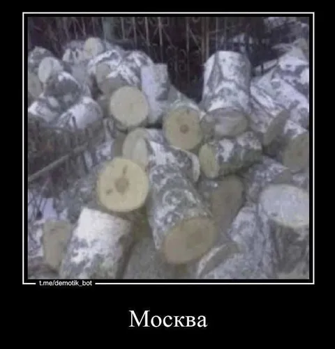 Москва из брёвен