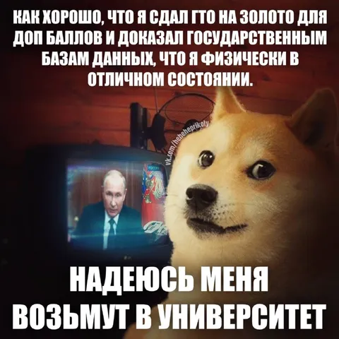 Наделюсь меня возьмут в университет