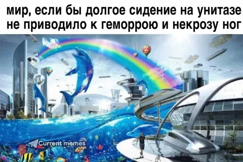 Мир без геморроя от унитаза