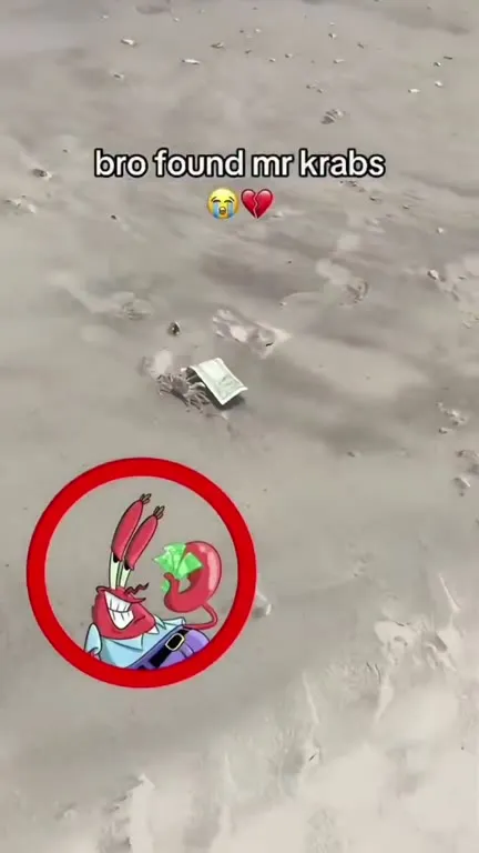 Bro Found Mr Krabs on the Beach