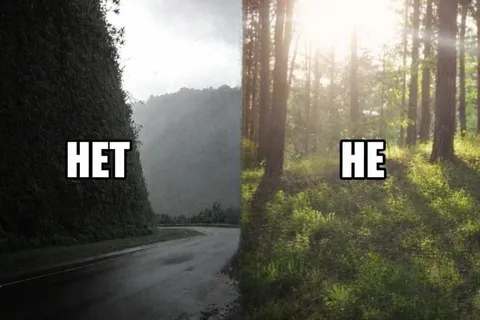 НЕТ или НЕ