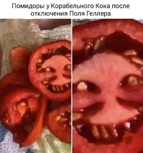 Помидоры после отключения Поля Геллера