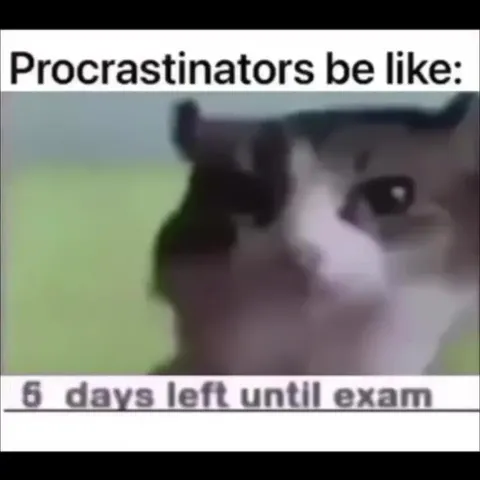 Procrastinator Exam Countdown