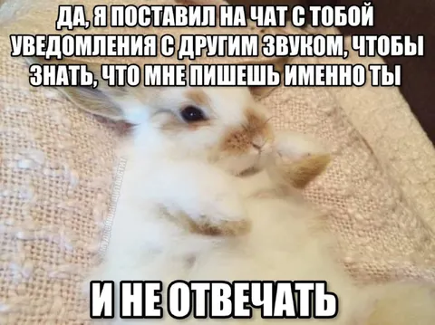 Кролик с отдельным звуком уведомлений