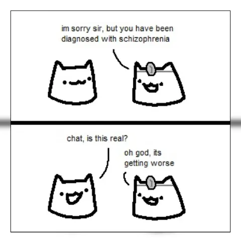 Schizophrenia Cat Diagnosis