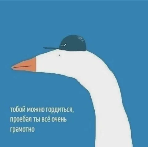Проебал всё грамотно