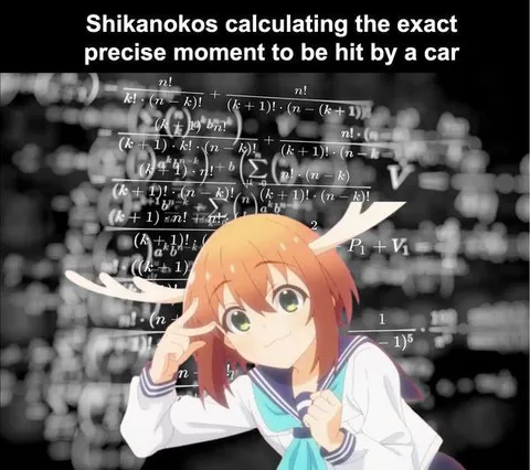 Shikanoko Calculates Car Impact