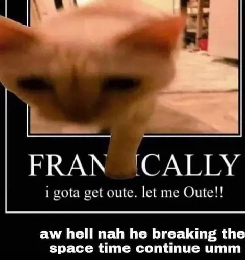 Cat Breaks Space Time