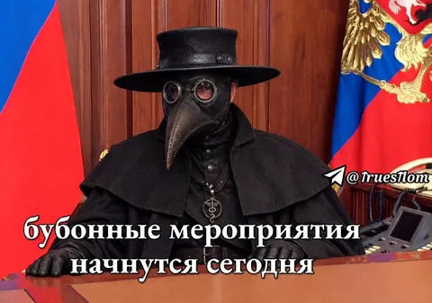 Бубонные мероприятия начнутся сегодня