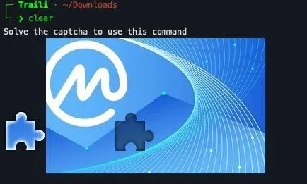 Solve the CAPTCHA to Use This Command