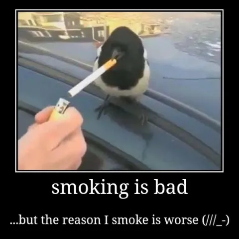 Smoking Is Bad Reason Worse